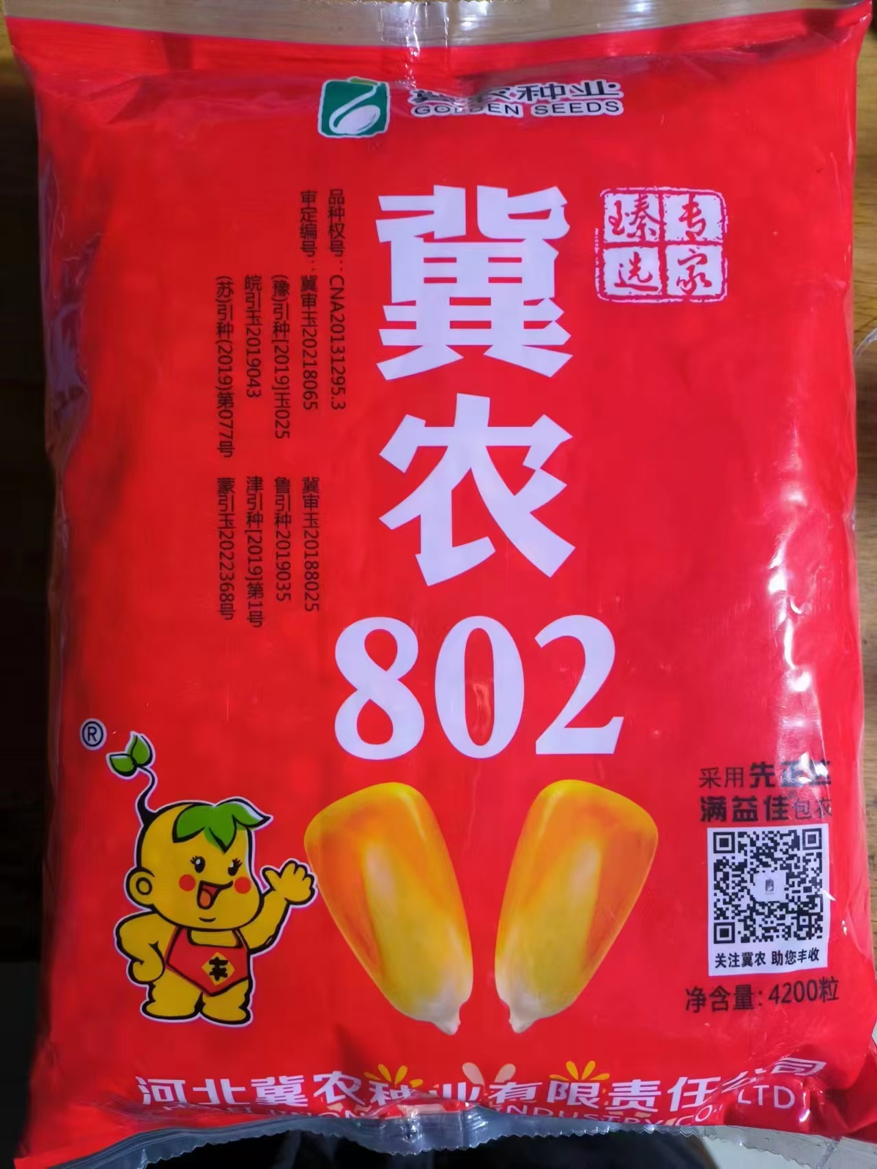 冀農802