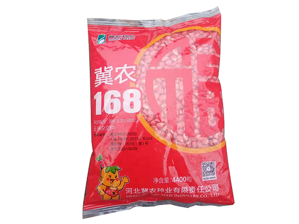 冀農168